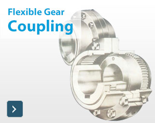 Flexible Gear Coupling ramkrishnaeng.com