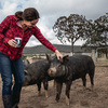 online meat delivery - Your Food Collective