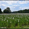 DSC 0134-BorderMaker - Zomervakantie 2018 Leipzig ...