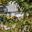 Trucktreffen - Trucker Tref... - Trucktreffen Hallenberg 2018 powered by Spedition KleinwÃ¤chter, Pfaffe Holz und Dietrich GmbH Gerlingen. #truckpicsfamily
