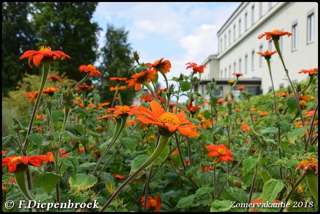 DSC 0369-BorderMaker Zomervakantie 2018 Leipzig en Tsjechie