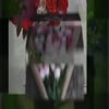 Flower Delivery Inc - Flower Delivery Inc