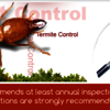 Termite Solution - Pest Control Melbourne