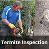 Termite Inspection - Pest Control Melbourne