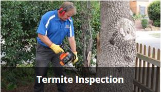 Termite Inspection Pest Control Melbourne