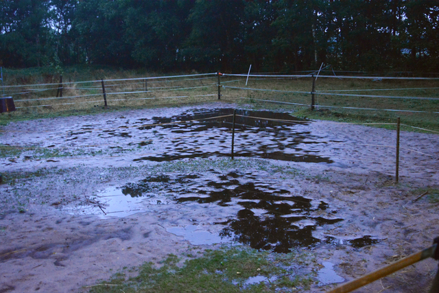 buitenbak 9 aug na droogte balingehofforum