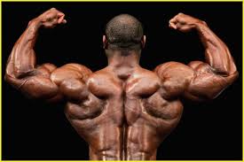 https://fitnesreviews Picture Box