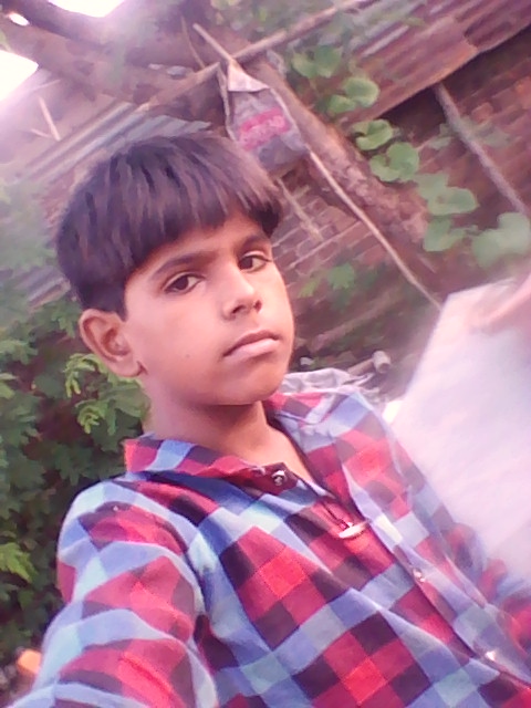 IMG 0191 Picture Box