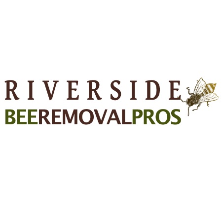 Riverside Bee Removal Pros Riverside Bee Removal Pros