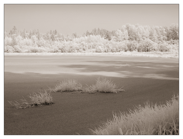 C2100 2018 3 Infrared photography