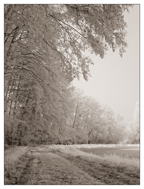 C2100 2018 2 Infrared photography