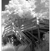 porch -infra - Infrared photography
