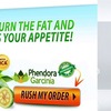 https://ketoneforweightloss.com/phendora-garcinia/