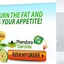 85739907 - https://ketoneforweightloss.com/phendora-garcinia/