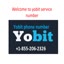 yobit viteo 3sept - Yobit international support number +1855 206 2326