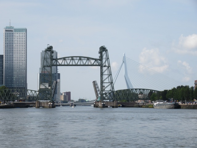 7 Rotterdam