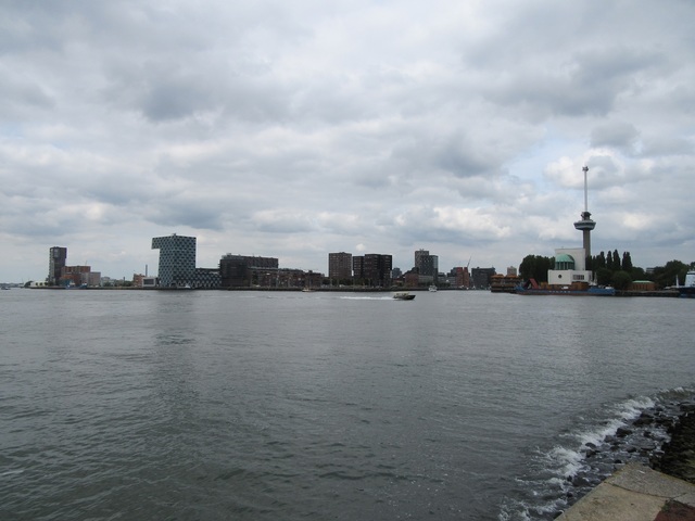 31 Rotterdam