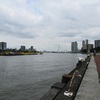 33 - Rotterdam