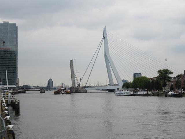 43 Rotterdam