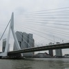 50 - Rotterdam