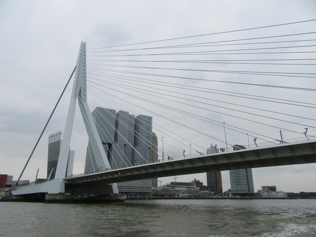 50 Rotterdam