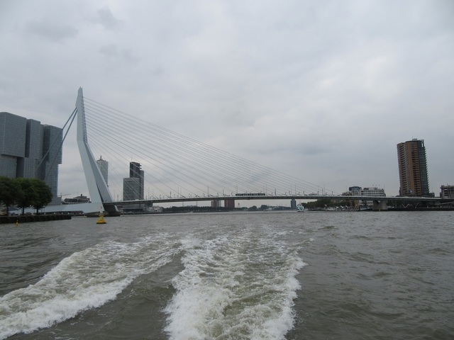 51 Rotterdam