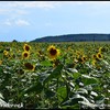 DSC 0691-BorderMaker - Zomervakantie 2018 Leipzig ...