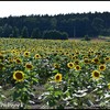 DSC 0692-BorderMaker - Zomervakantie 2018 Leipzig ...