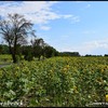 DSC 0695-BorderMaker - Zomervakantie 2018 Leipzig ...