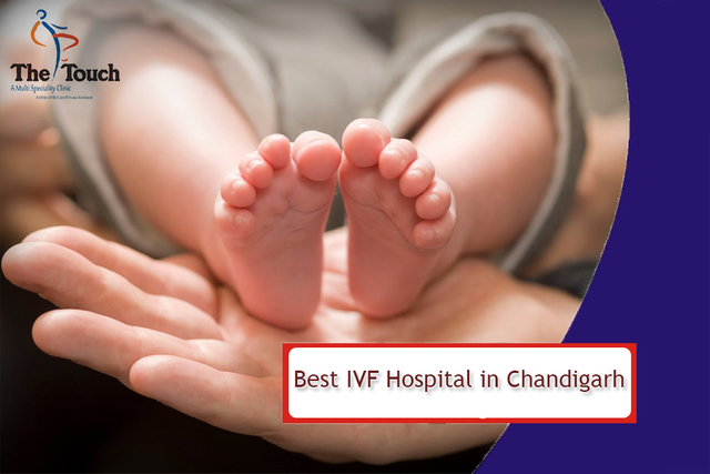 Best IVF Hospital in Chandigarh Best IVF Hospital in Chandigarh - Touch Clinic