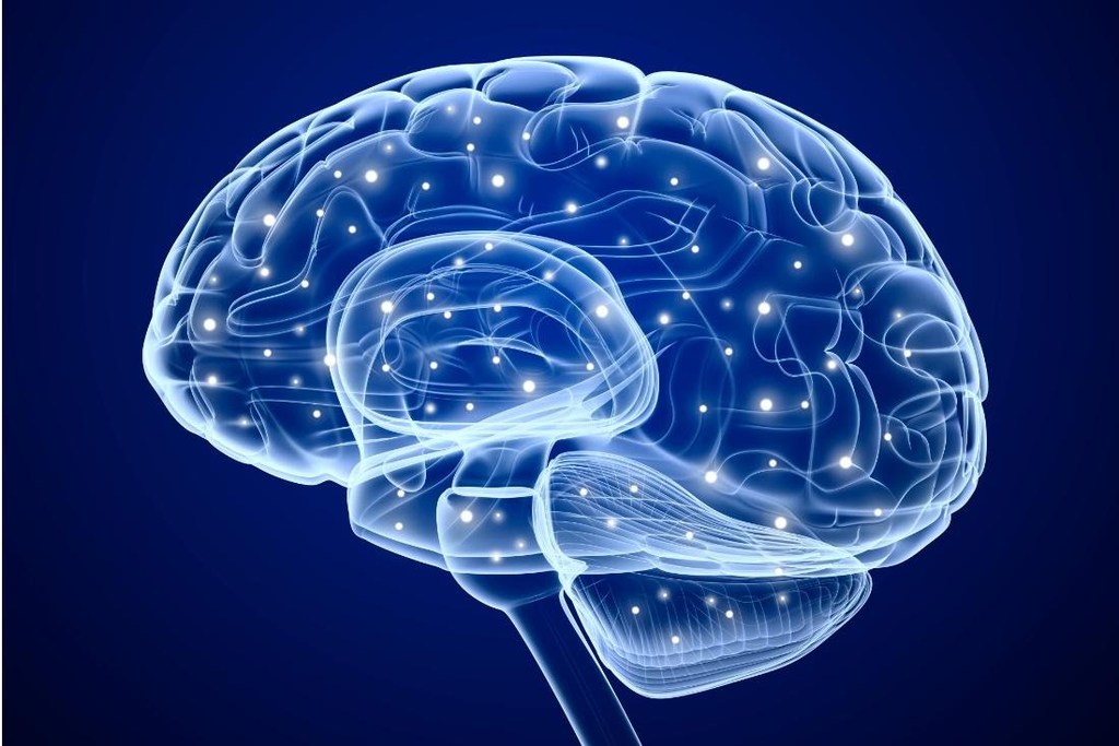 https://www.supplementgate https://www.supplementgate.com/reviva-brain/
