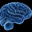 opioids brain GettyImages-5... - http://www.supplementfather.com/intell-x-pro-canada/