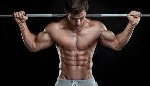 images The Unexposed Secret of male muscle