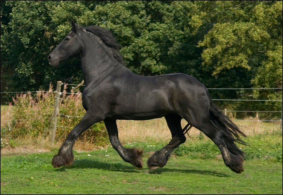 22 - friesje 17 sept