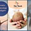 Cosmetic Gynaecology Chandigarh - The Touch Clinic