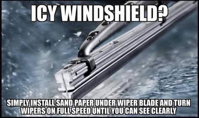 14199716 1220621357979186 7326040851408559753 n WINTER