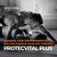 39231935 2168550250073230 8... - Definition Of Protecvital Plus Supplement: