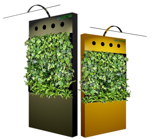 AIR-GROW 6 | Vertical Green Wall | Indoor Green Wa Picture Box