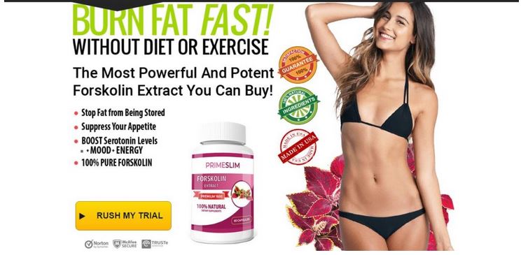 https://www.slimnojymfacts Prime Slim Forskolin