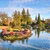 Homes for Sale in Elk Grove - Eagle Realty