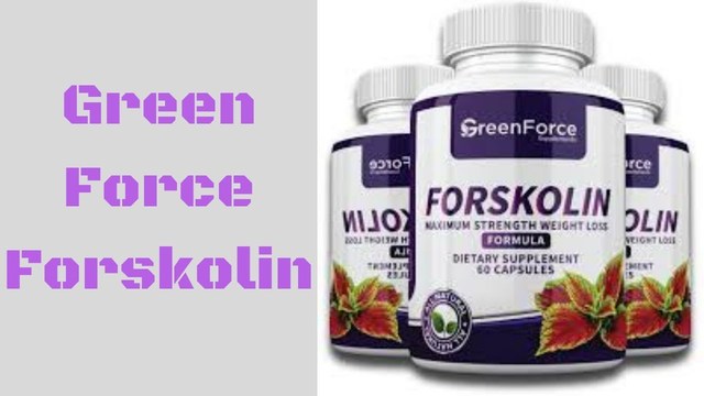 Green Force Forskolin best diet to lose weight Green Force Forskolin