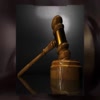 Guardianship Law Attorney