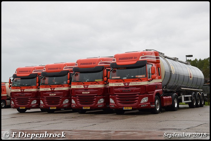 Daf line uo Burgler Noordhorn-BorderMaker - 2018