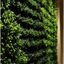 biophilic - Living Green Wall