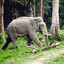 Discover Eastern Himalaya T... - Picture Box