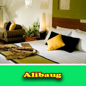 Alibaug 2 all images