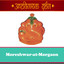 Moreshwar-at-Morgaon - all images
