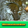 Bhimashankar 1 - all images