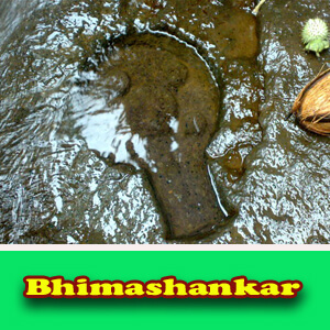 Bhimashankar 1 all images