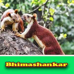 Bhimashankar 2 all images
